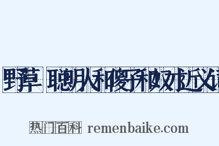 野草·聪明人和傻子和奴才近义词是什么意思的图片